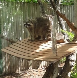 Meet your Posher, Mattie